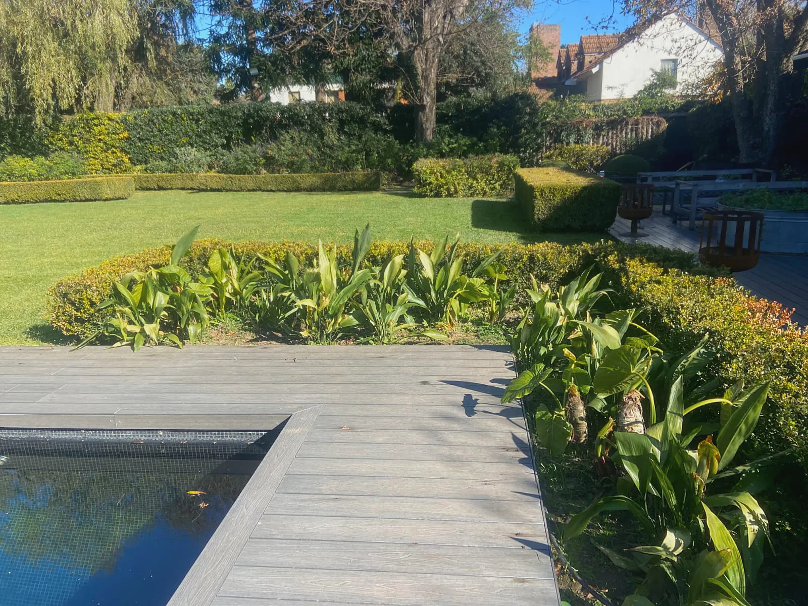 Deck de madera junto a un estanque, con plantas tropicales en primer plano