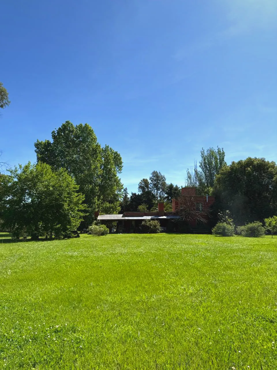 Casa moderna vista desde una pradera de césped amplio