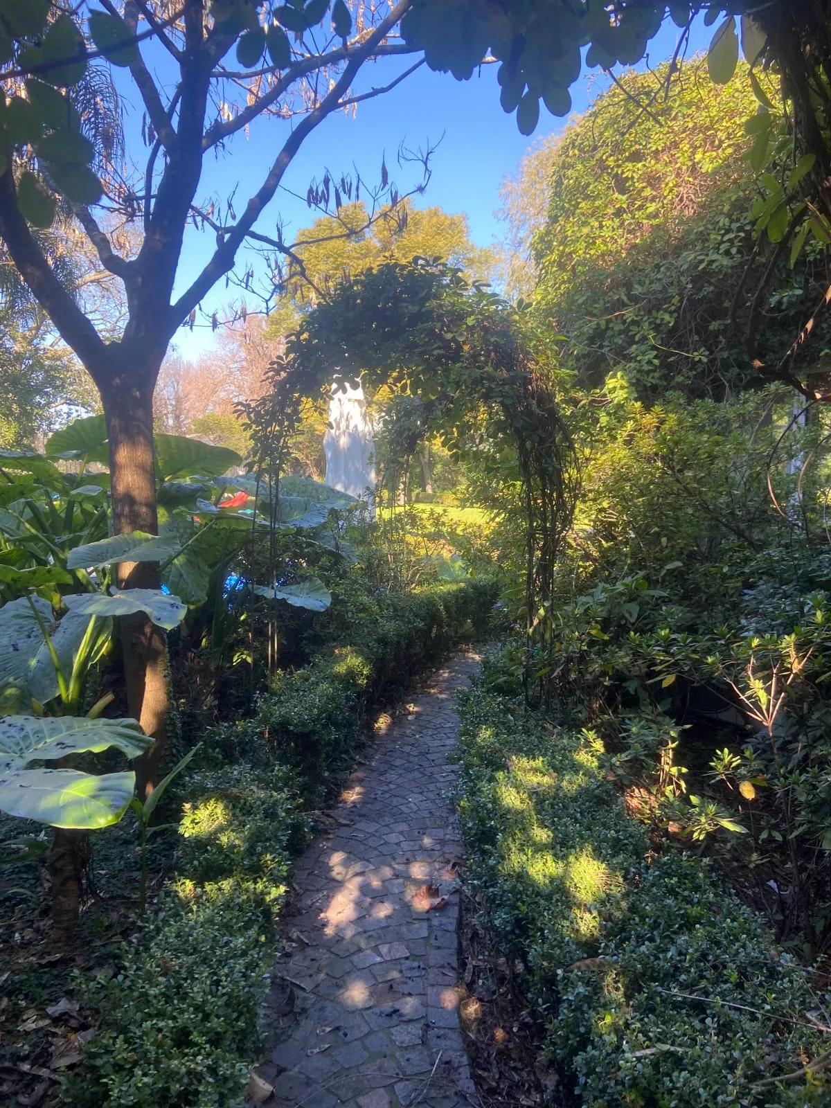 Sendero de piedra bajo un arco de enredadera, en un jardín de Proyecto Jardín